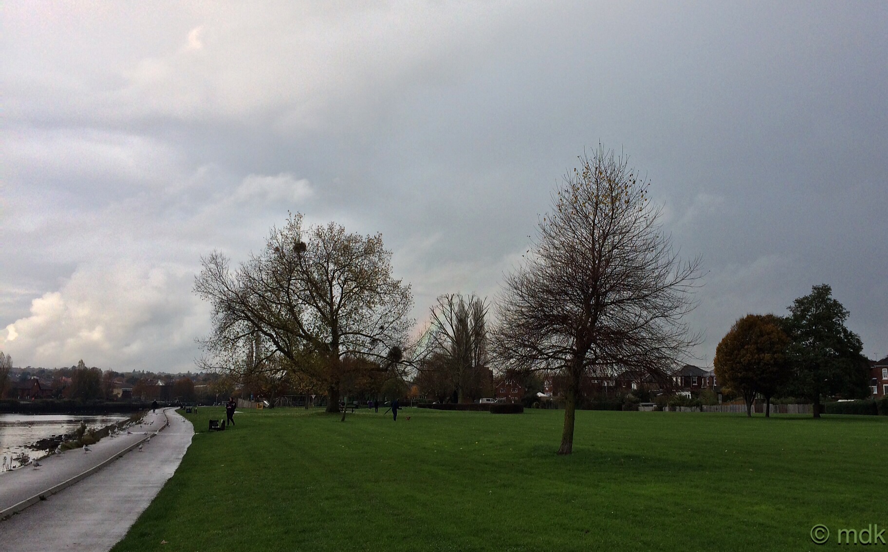 The ghost of a rainbow between the trees