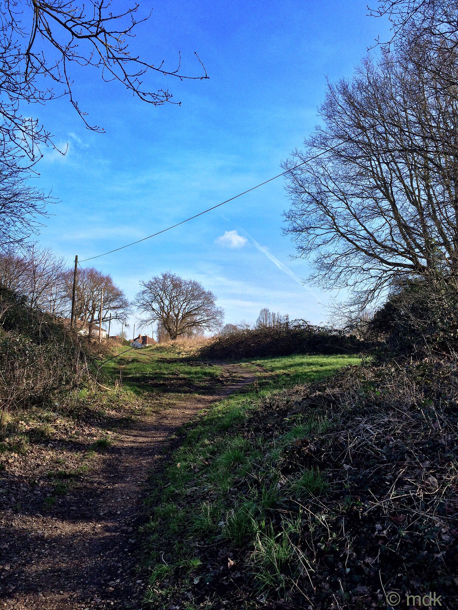 Up the hill to Sea Road and Peartree Avenue