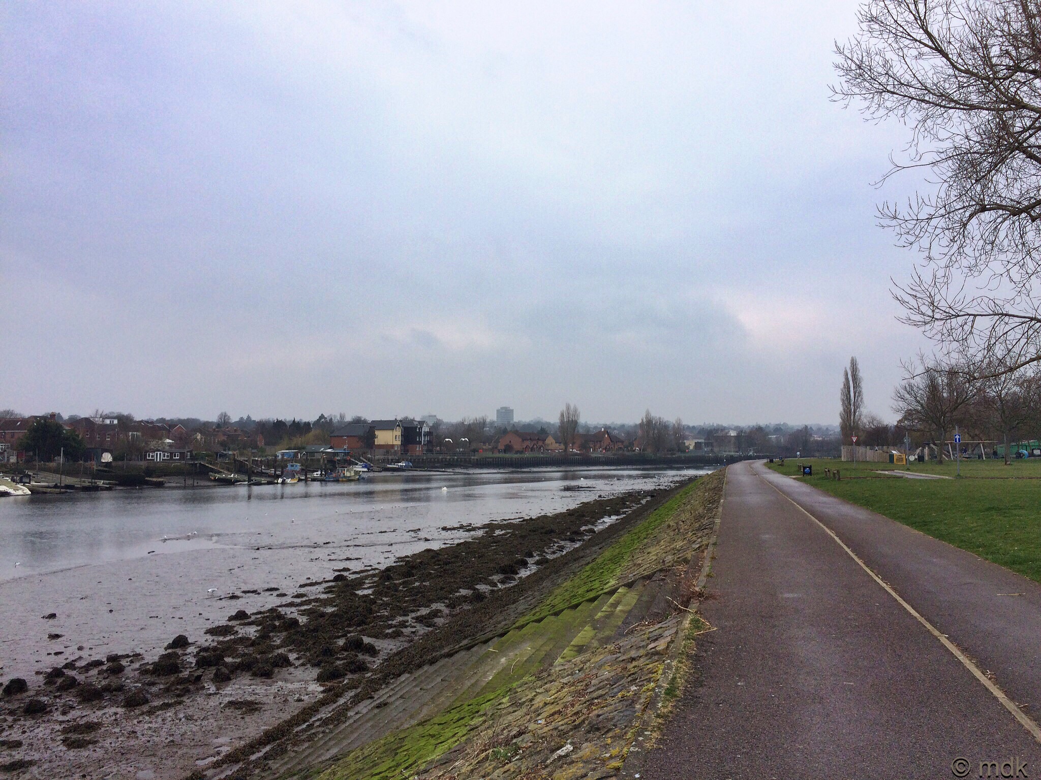 The specks in the distance are flying swans