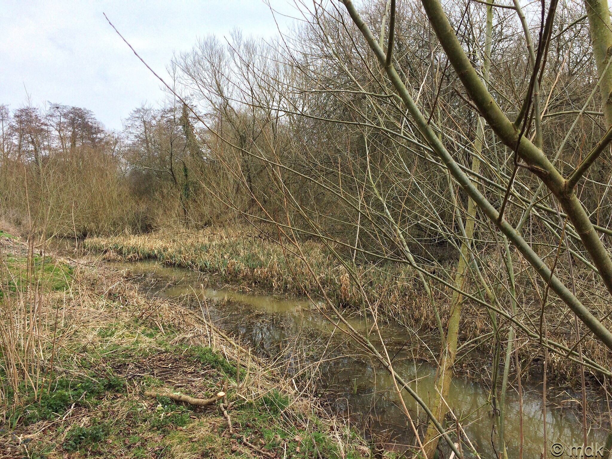 The opposite bank, or as near as it gets