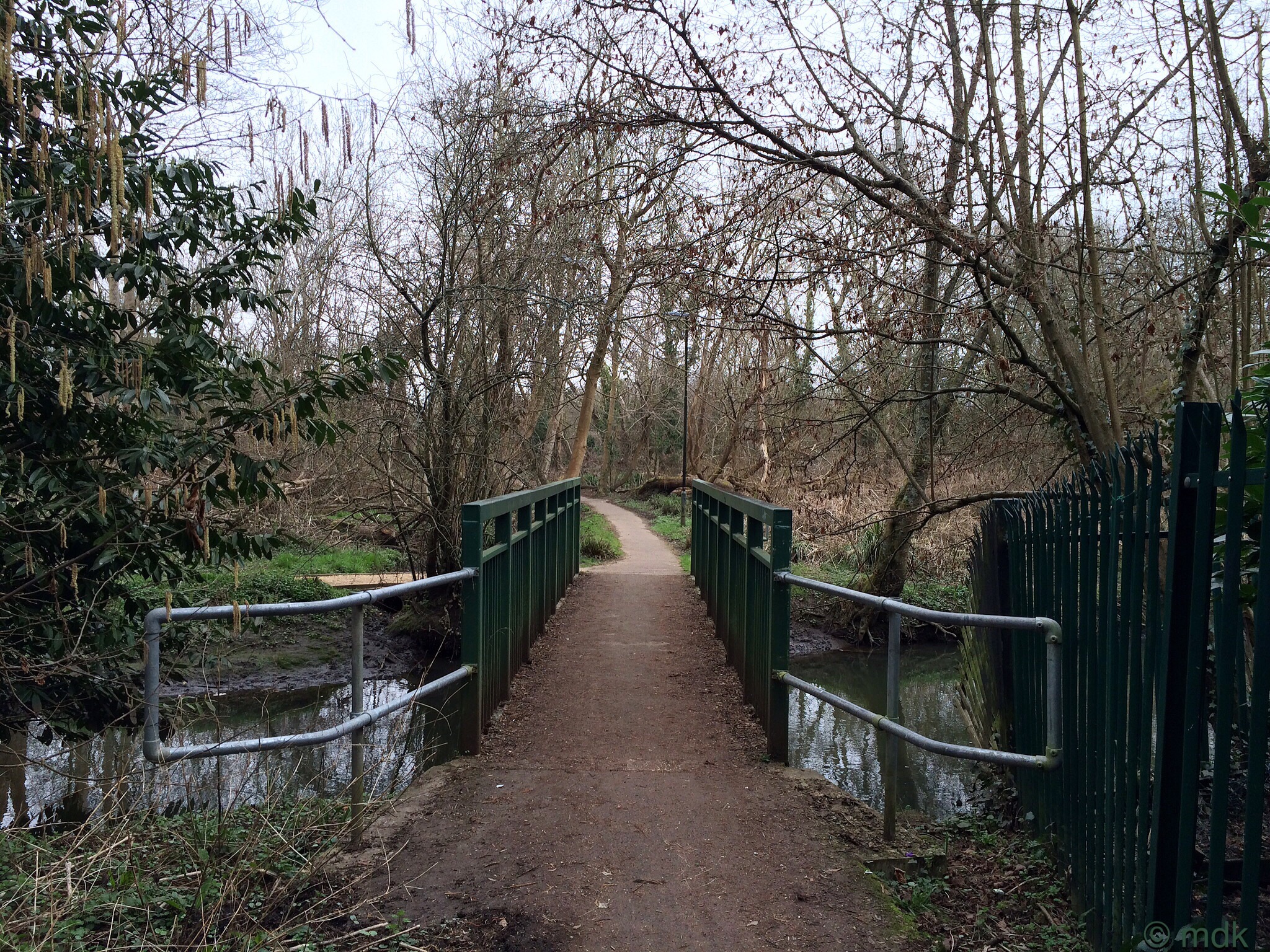 The green bridge