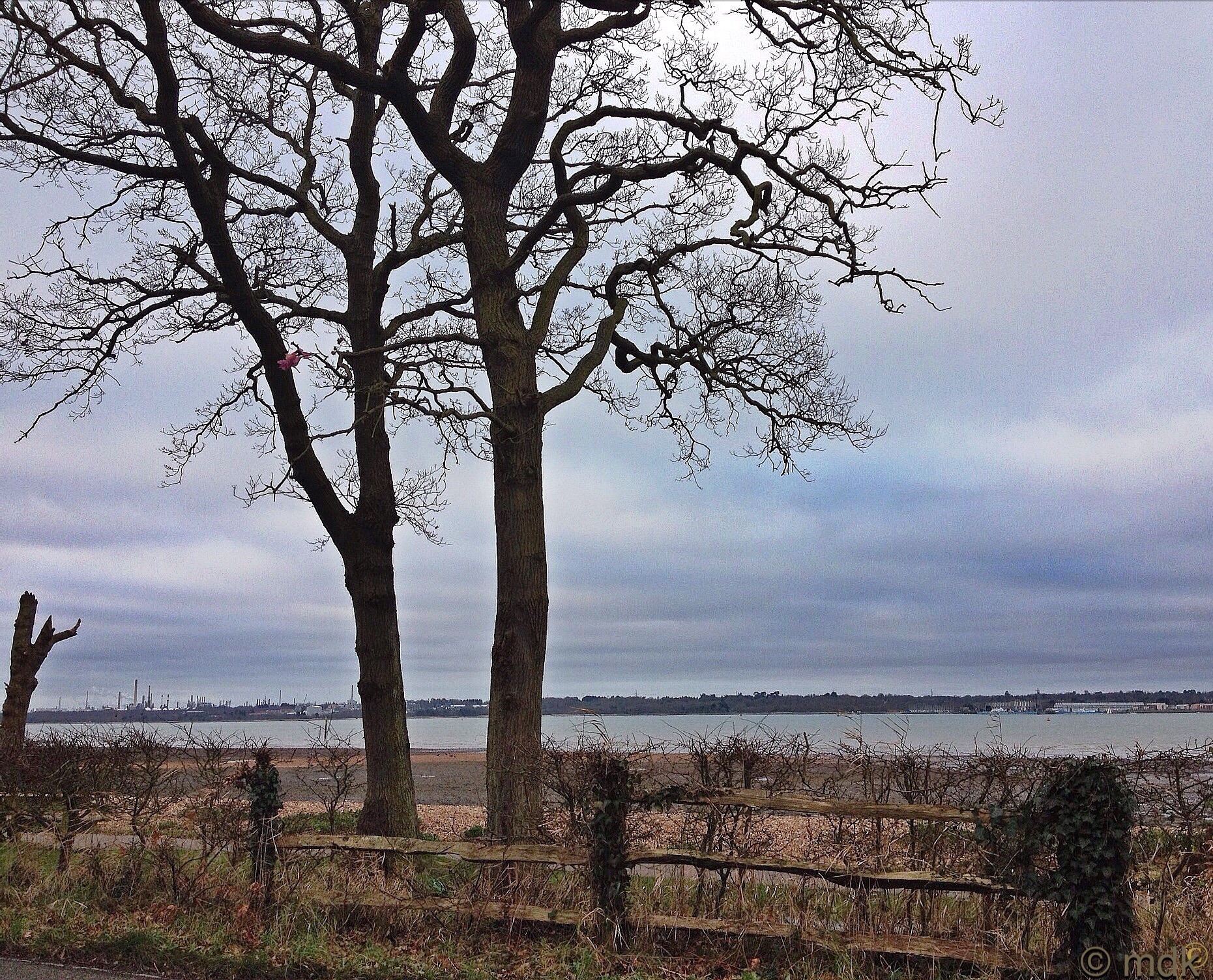 Weston Shore