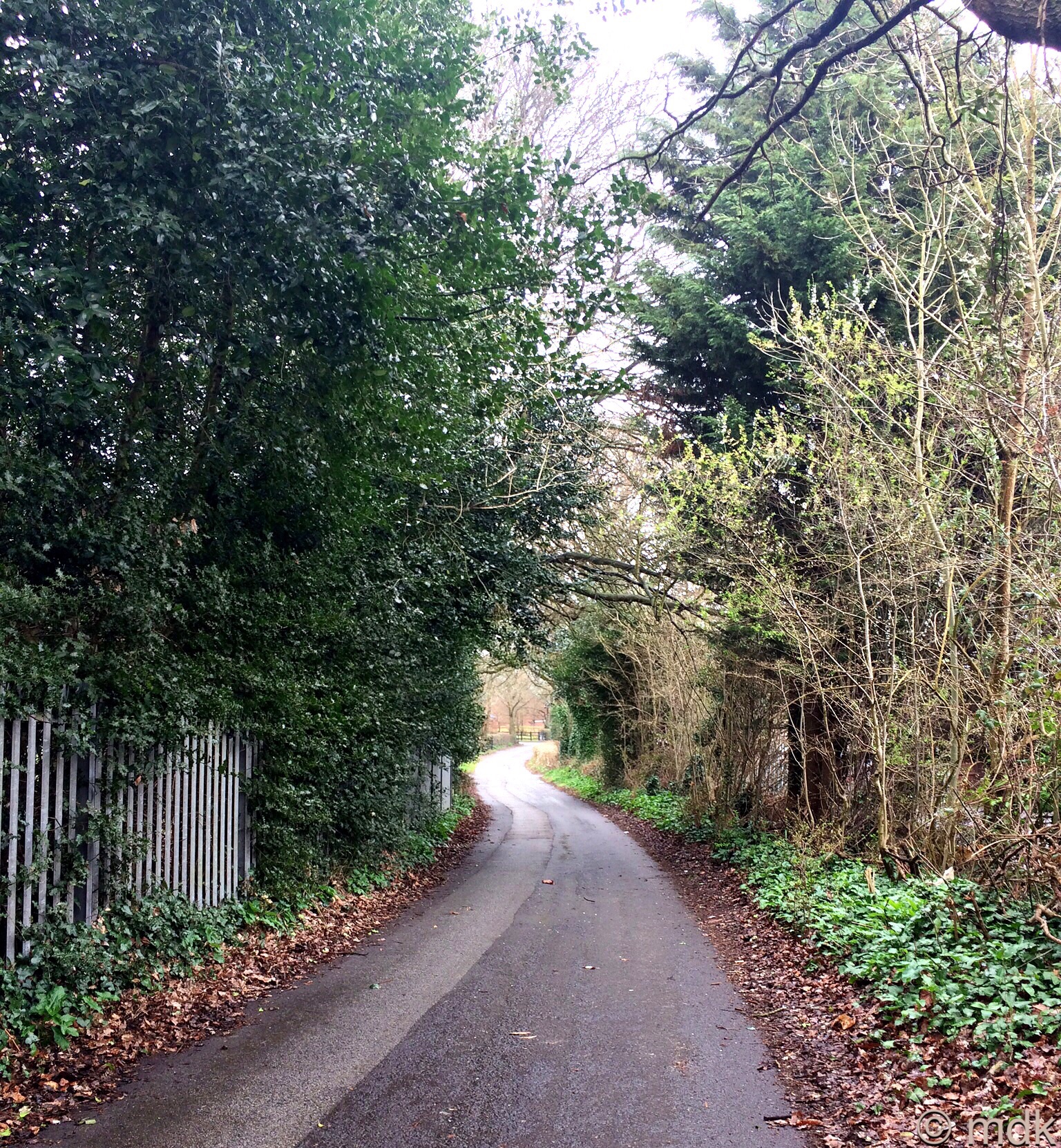 Cutbush Lane