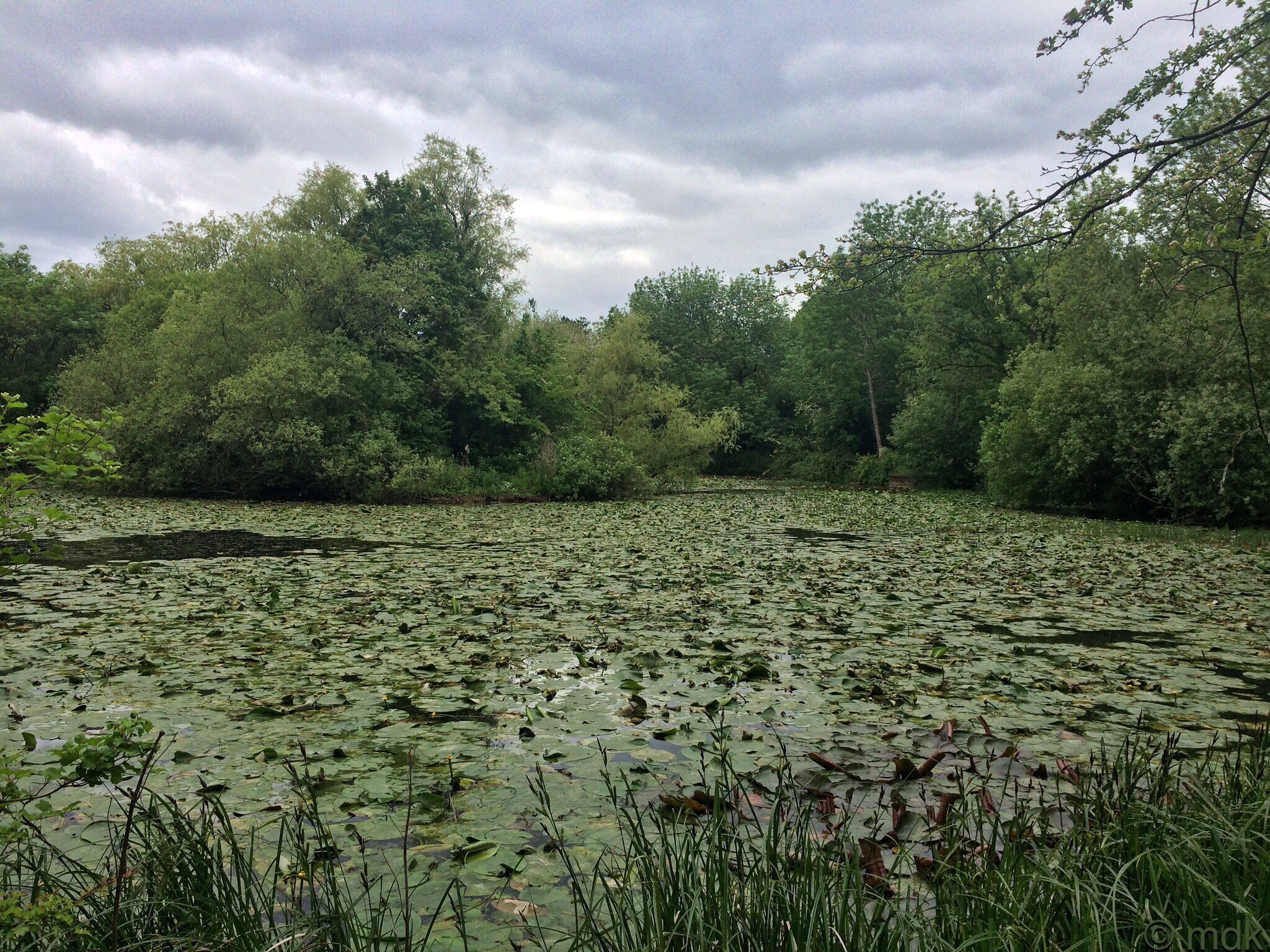 Mansbridge Resevoir
