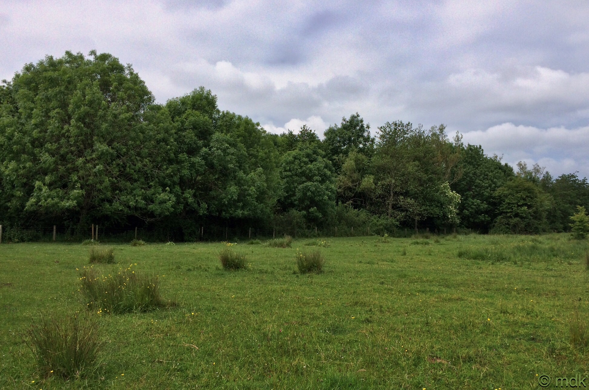 The Navigation behind the trees