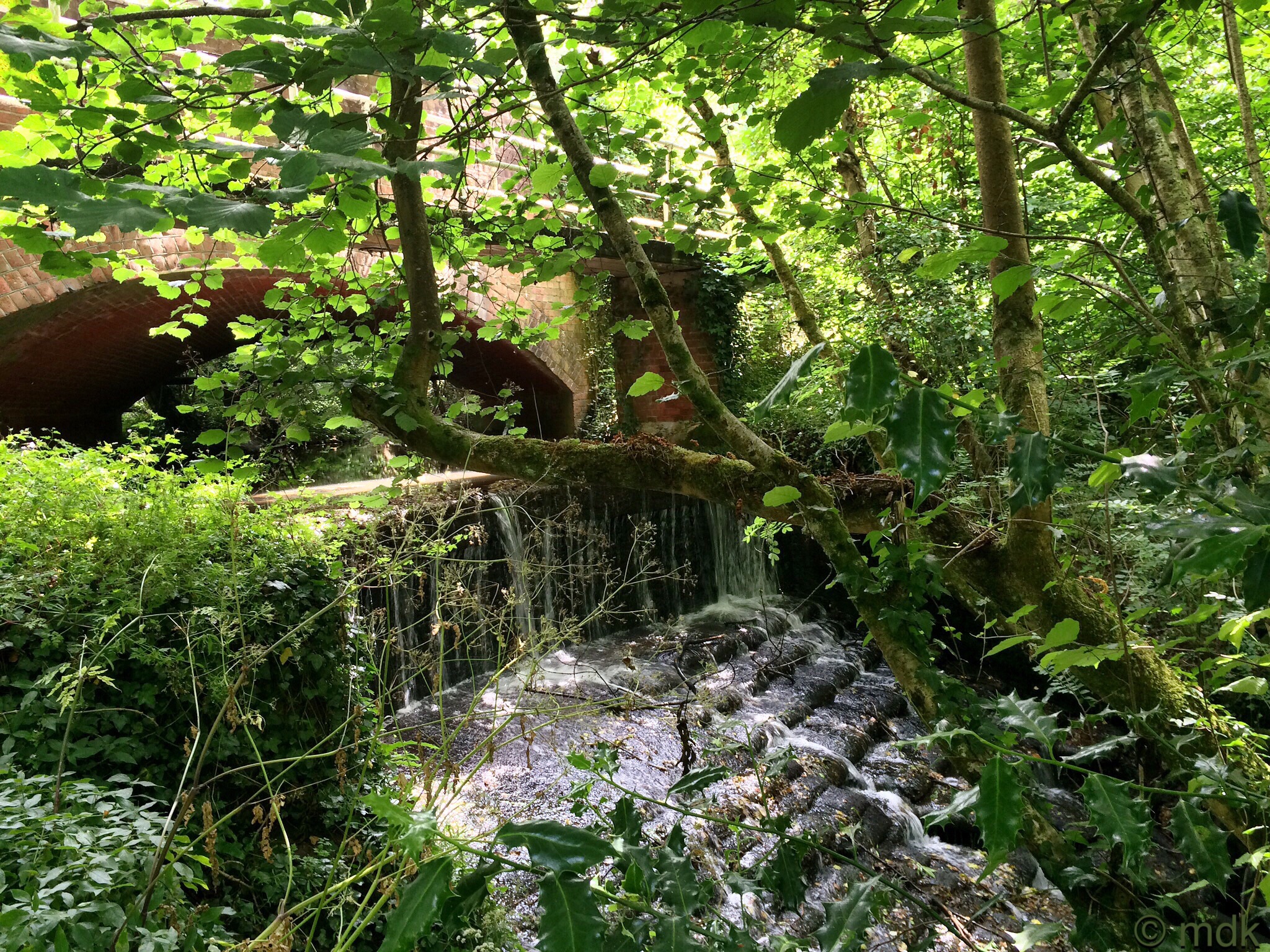 The waterfall