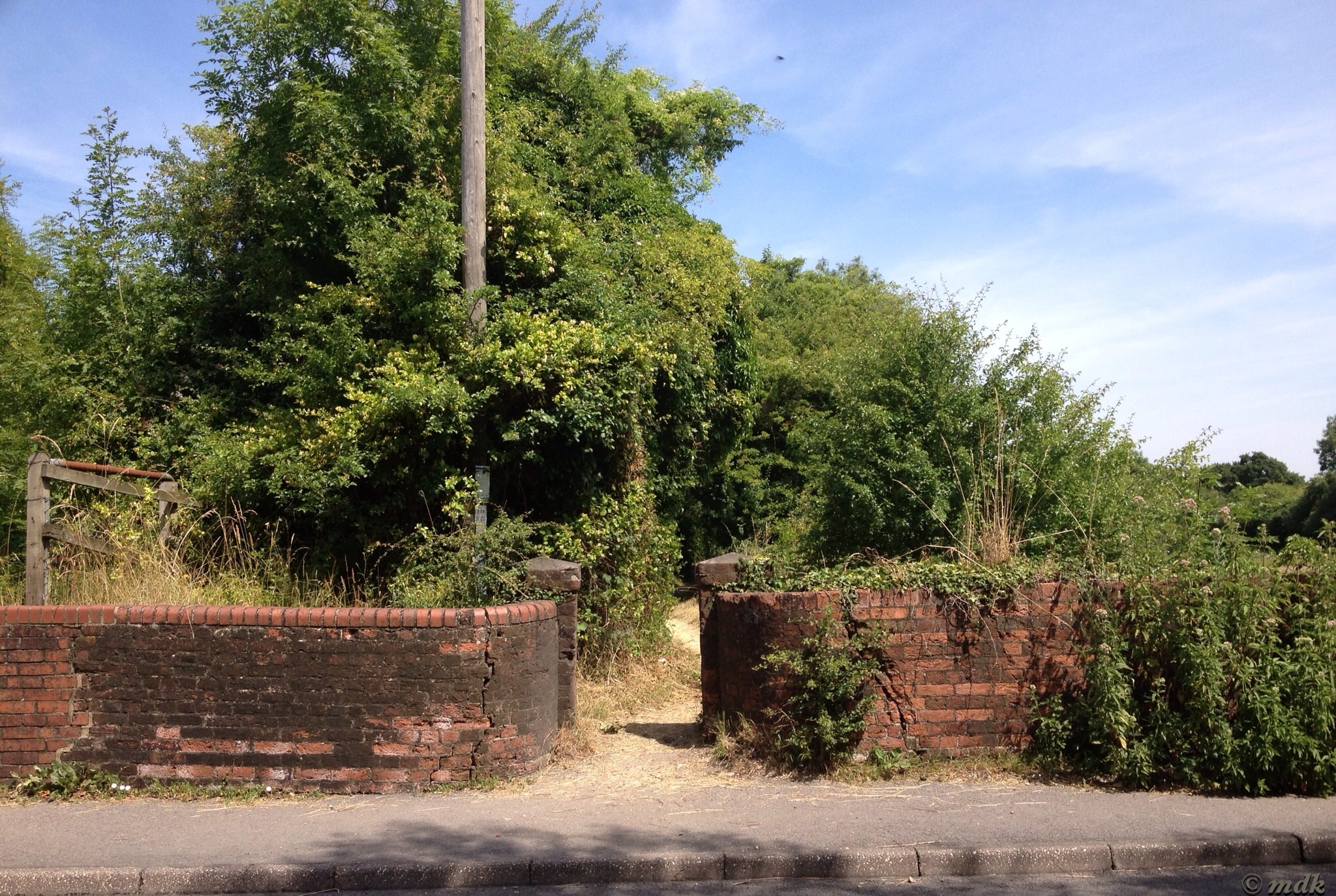 image252