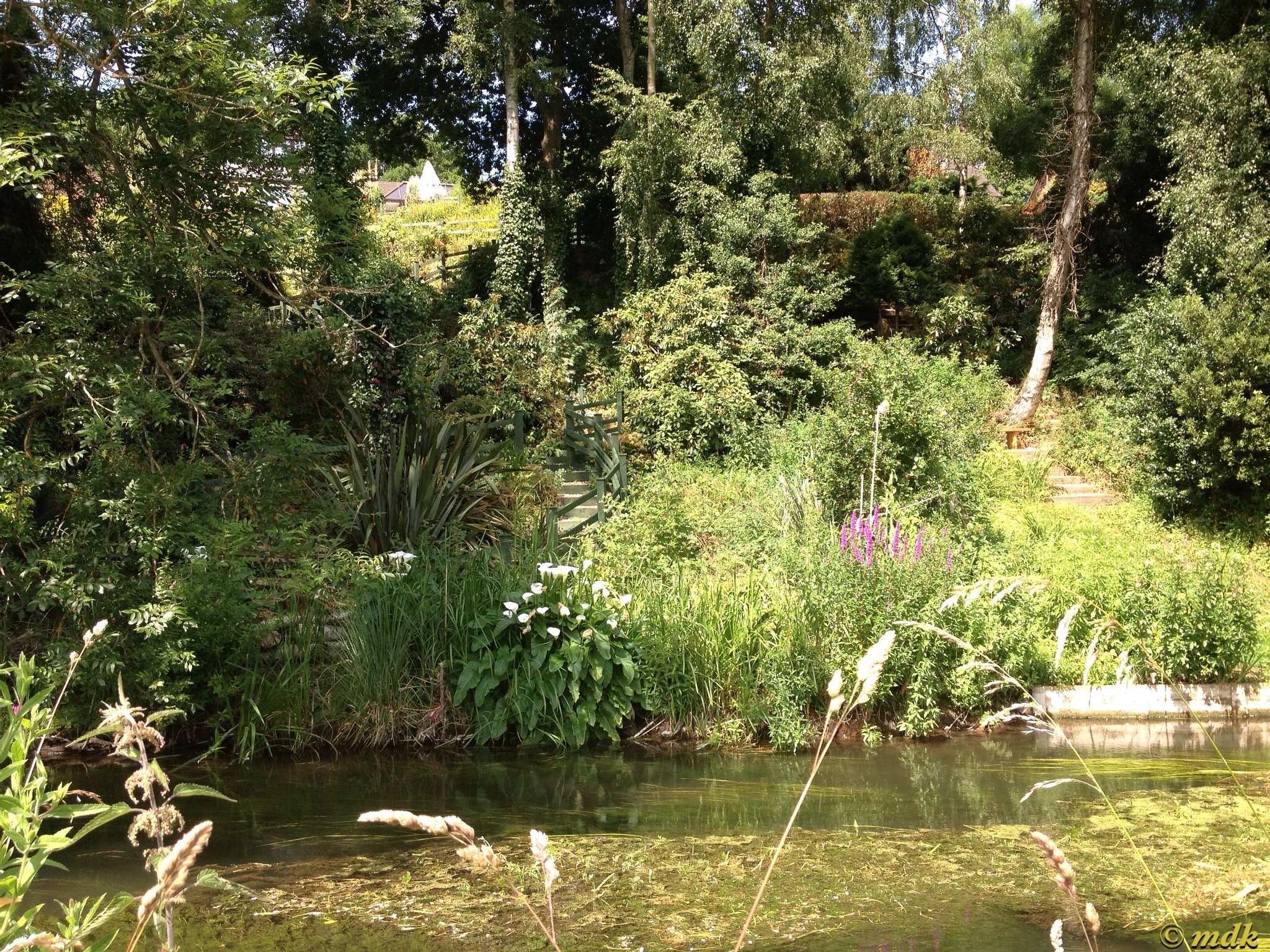 image276