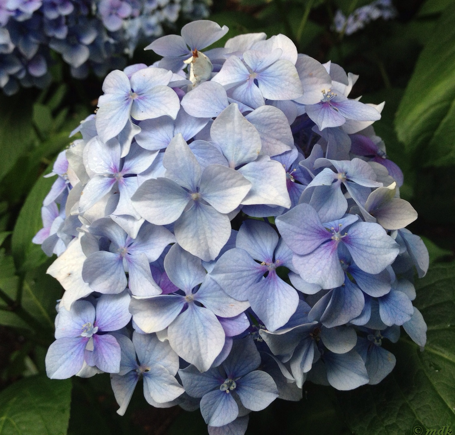 image129