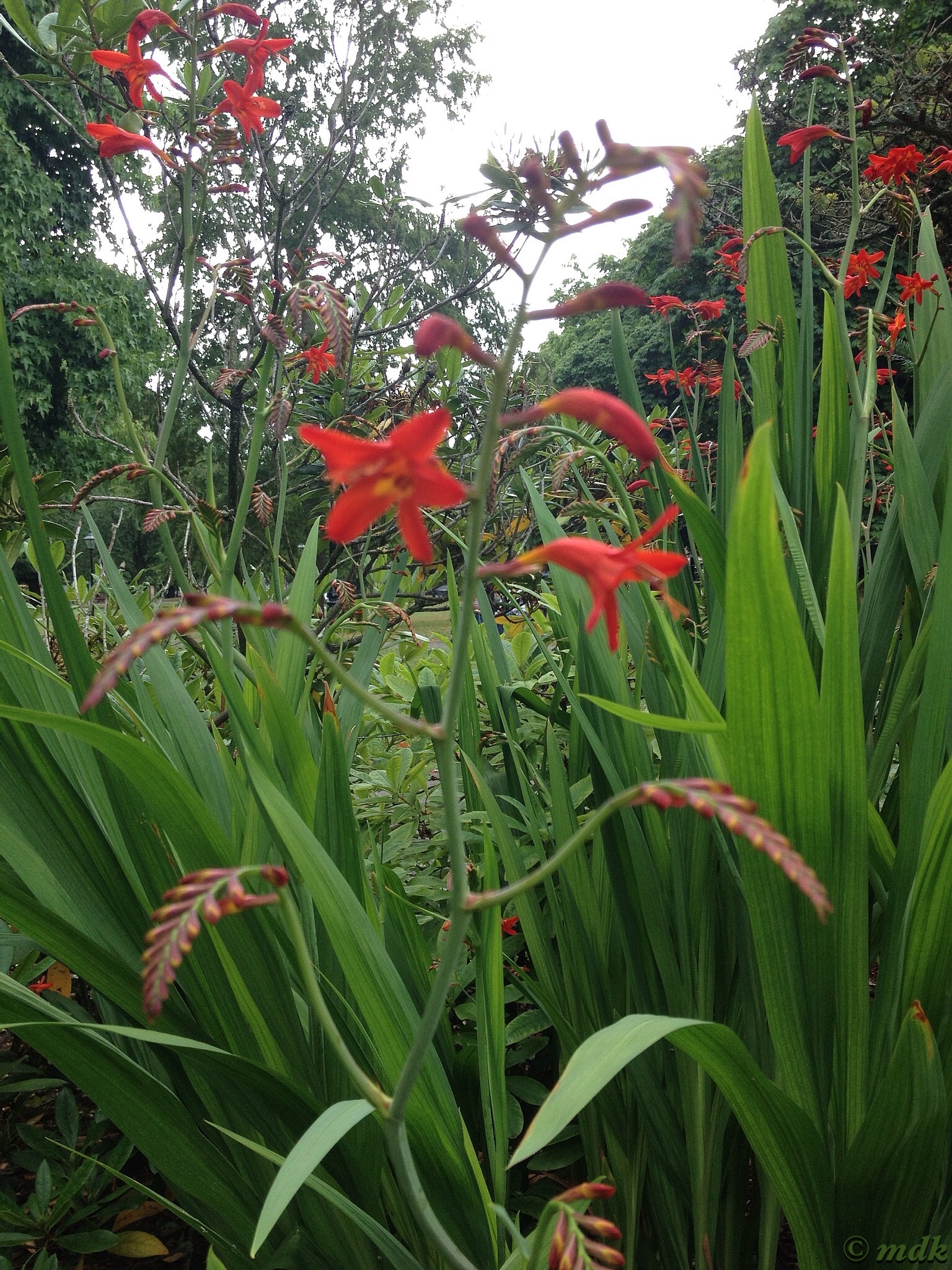 image140