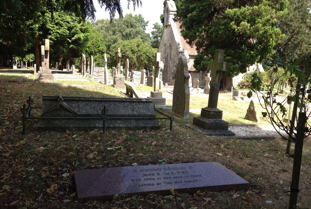 image303-1024x689