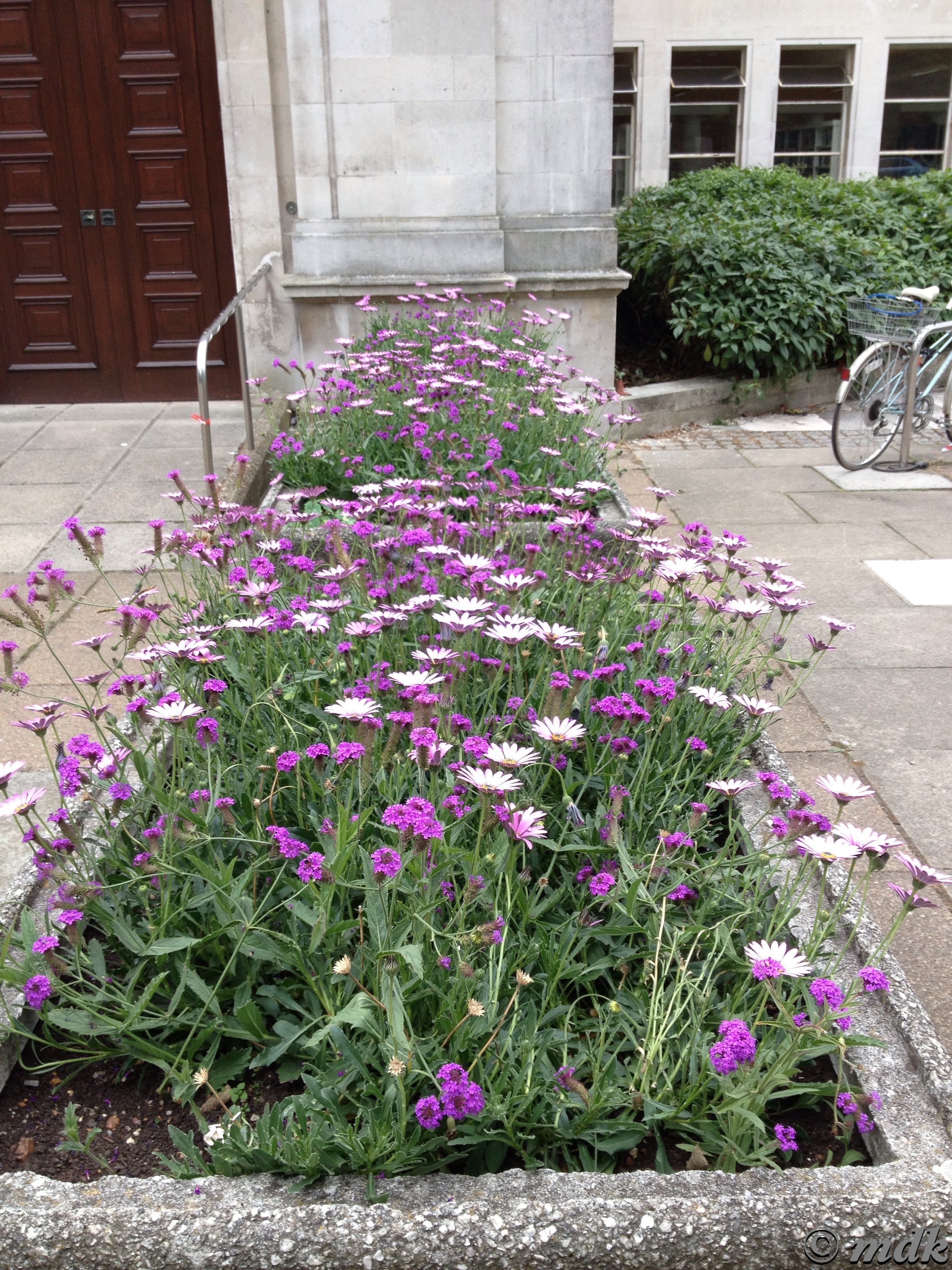 image799