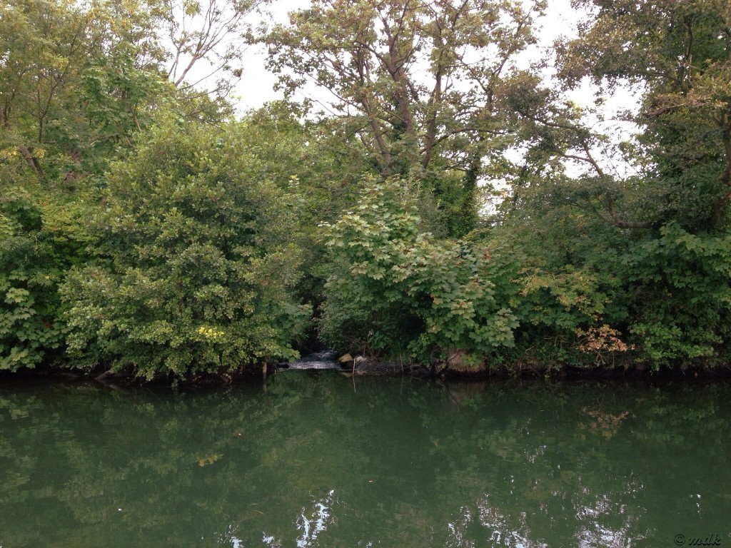 image667-1024x768