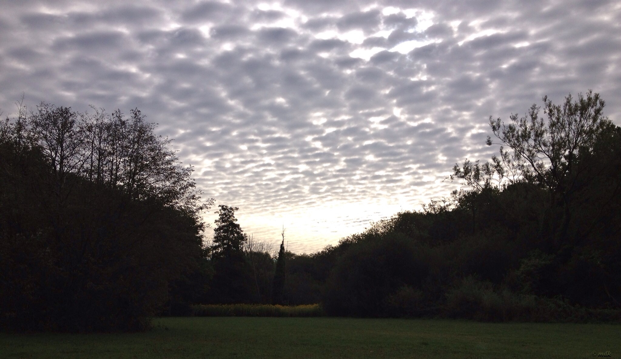 image682