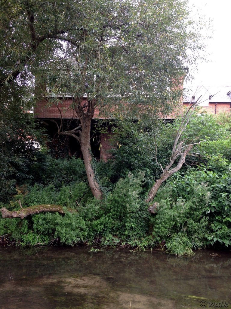 image691-768x1024