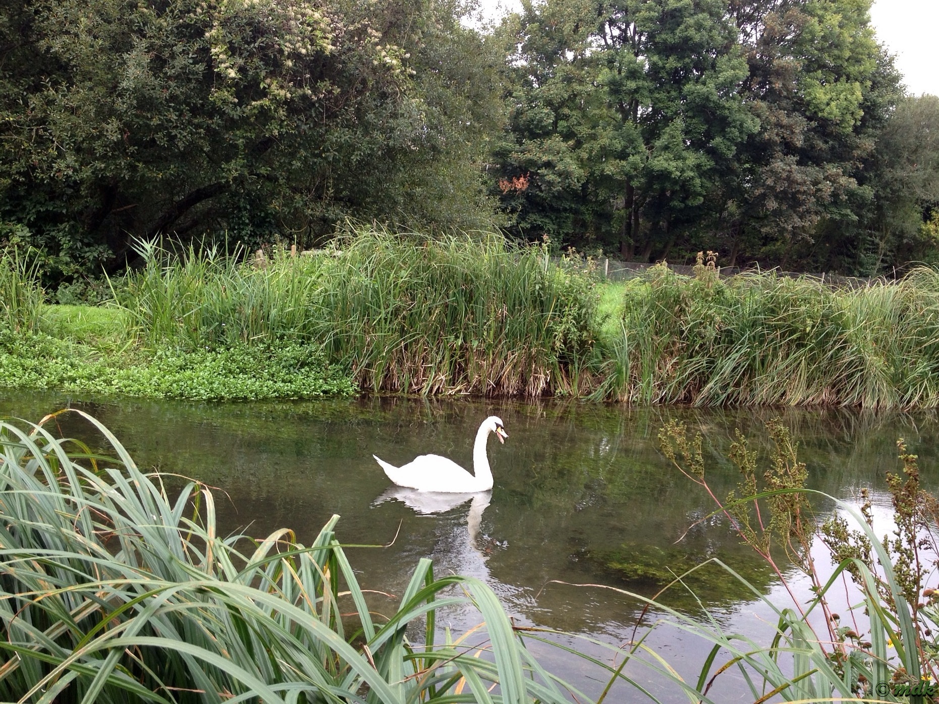 image700