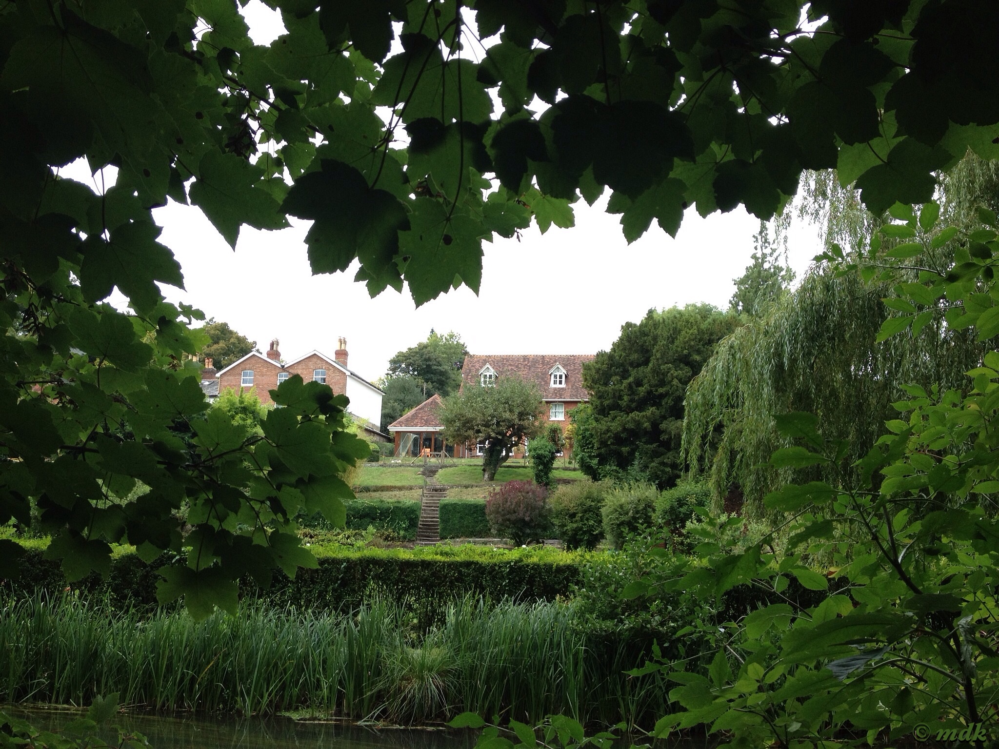 image729