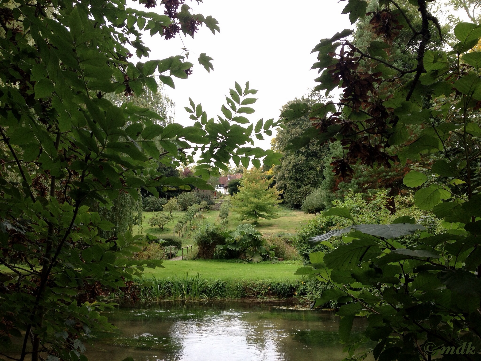 image732