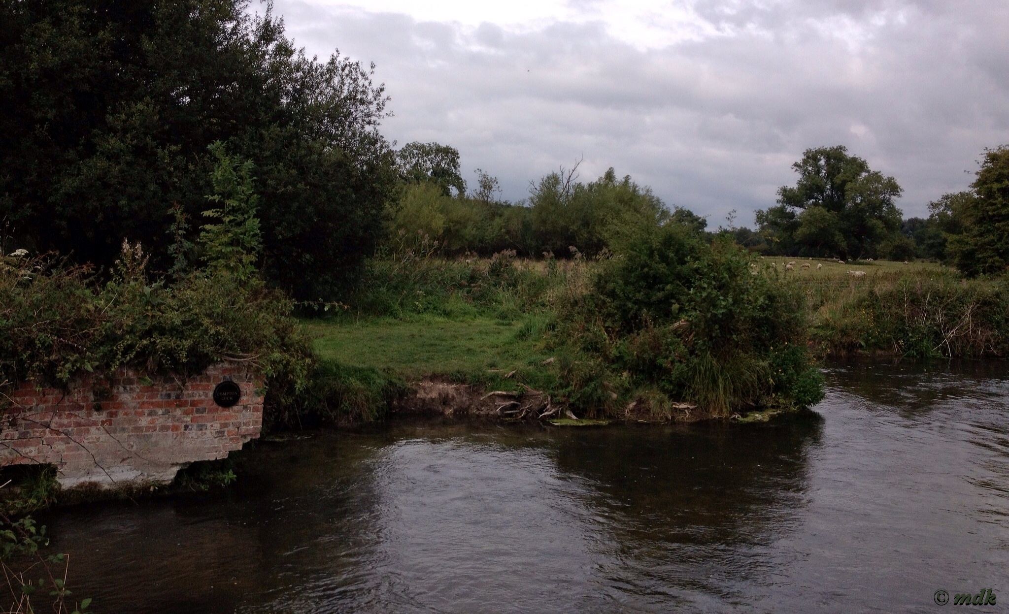 image733