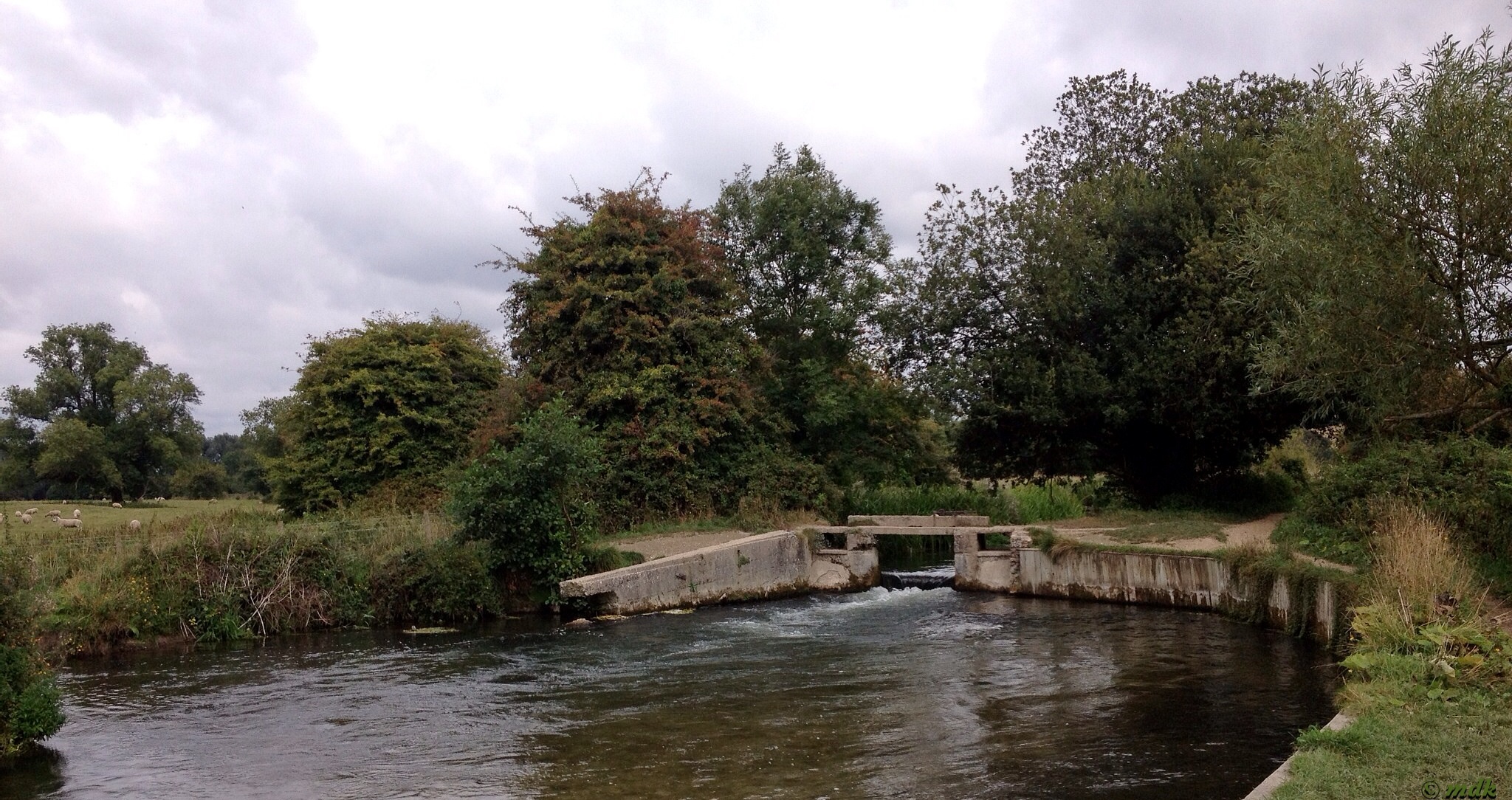 image734