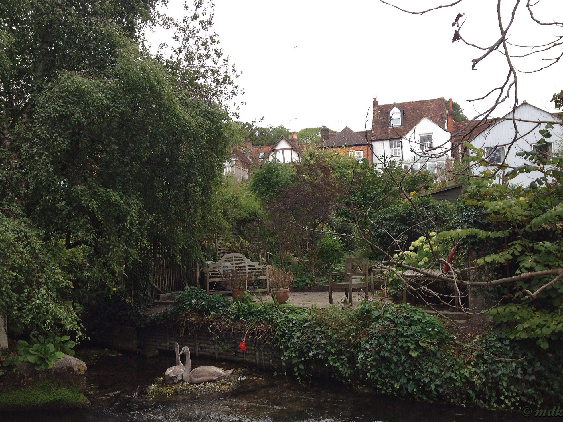 image773