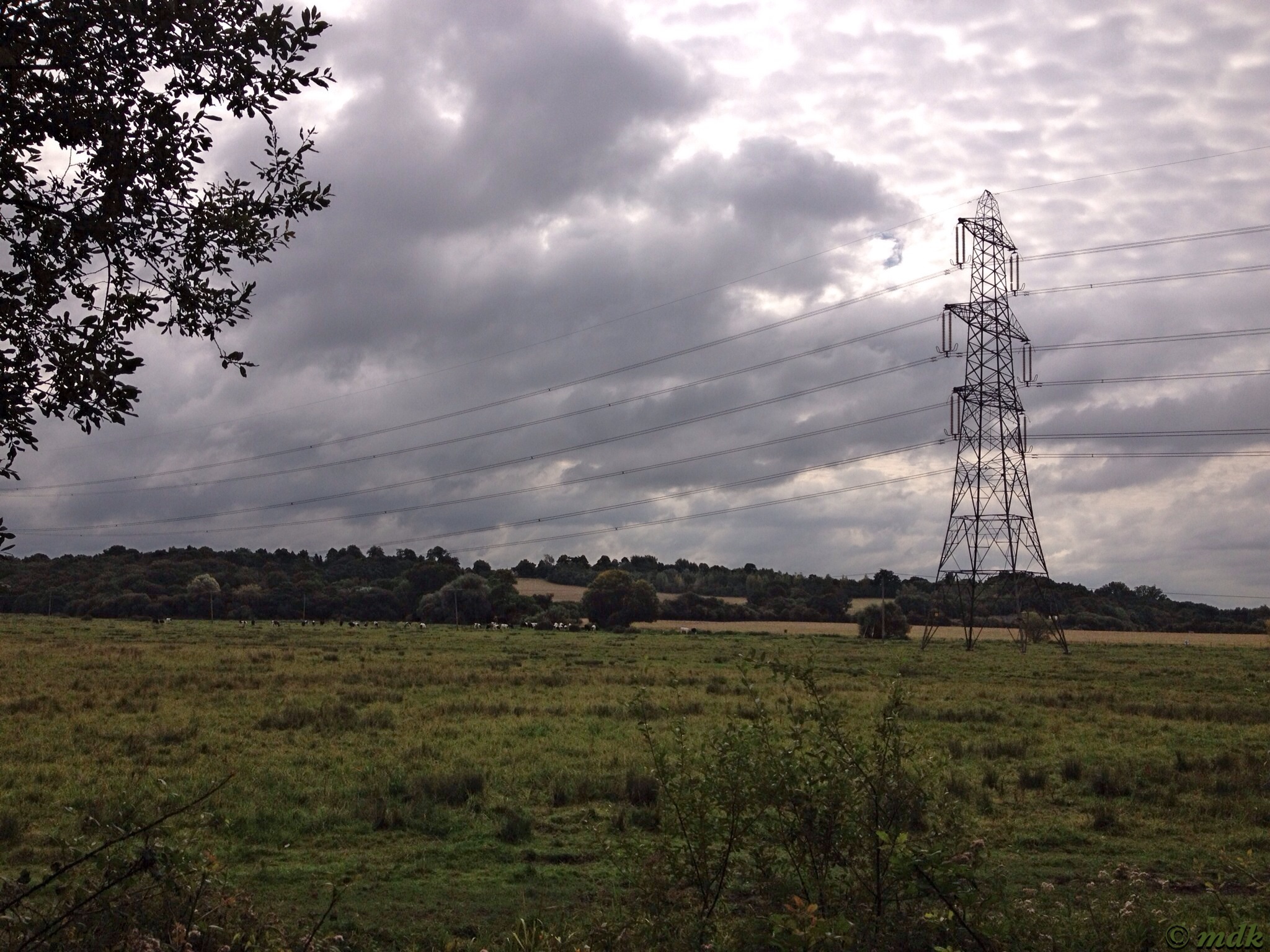 Pylons on the Hampshire Downs