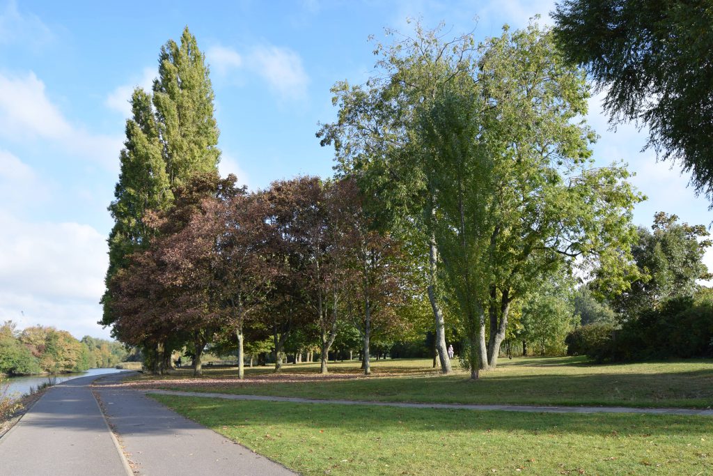 dsc_0006