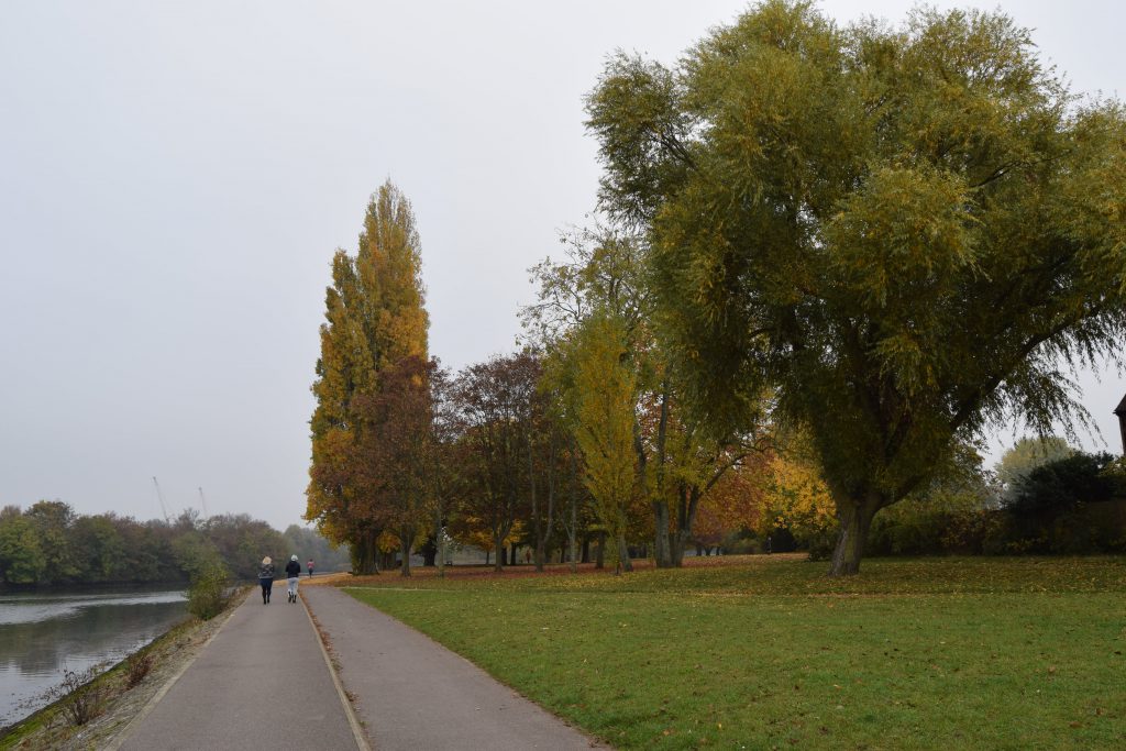 dsc_0007