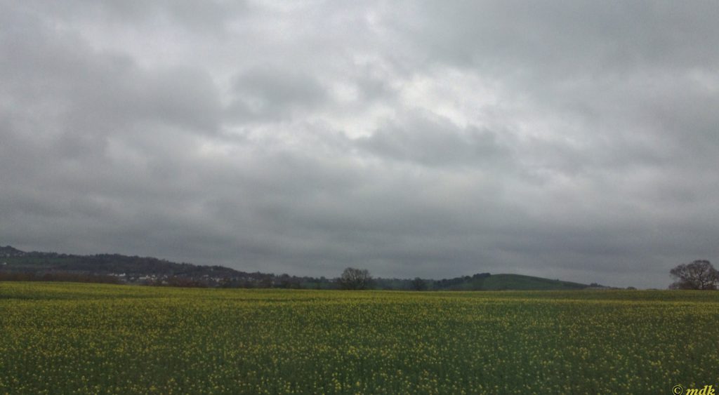 image37