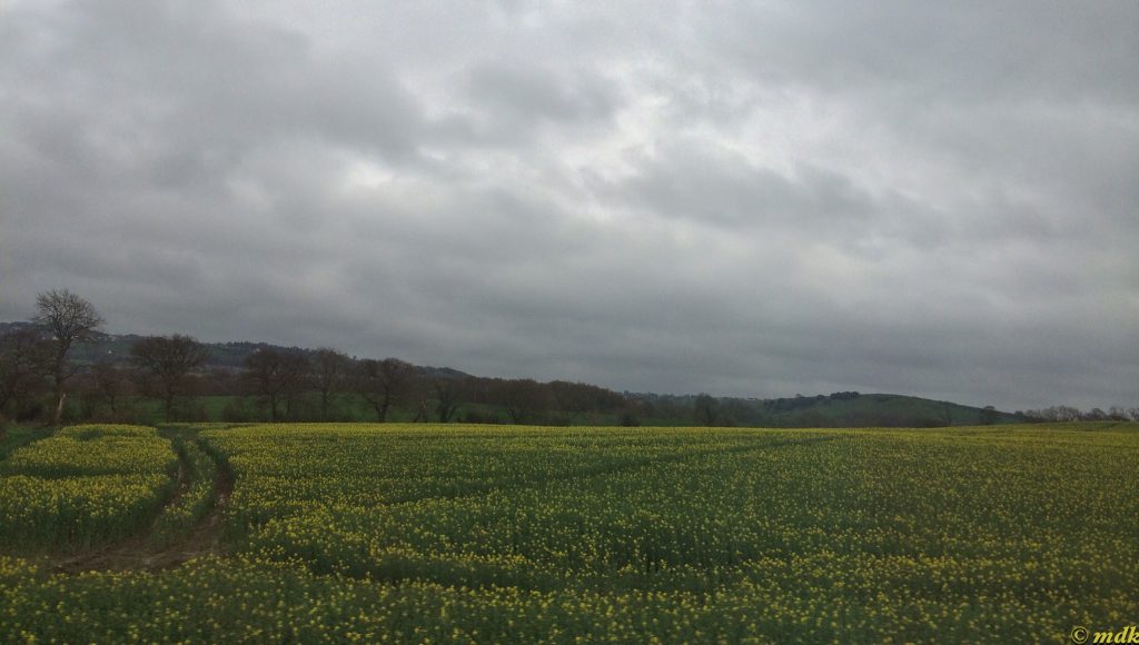 image38
