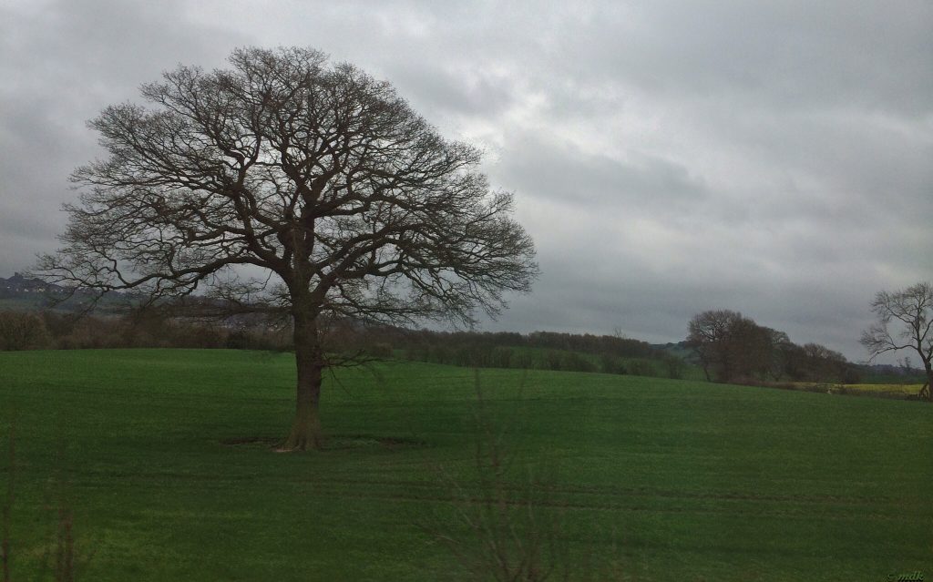image39